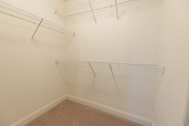 Building Photo - 1137 Woodbury Falls Ct