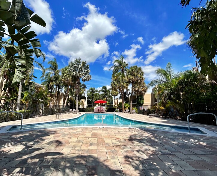 Pool Area - The Oasis Club