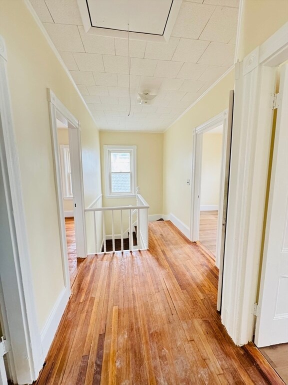 Building Photo - 111 Walnut St