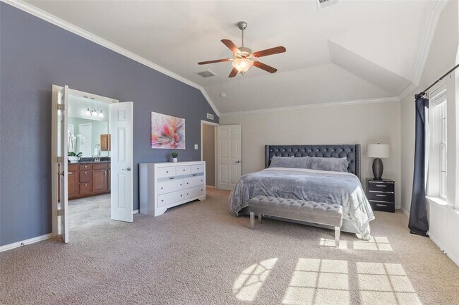 Building Photo - 12106 Coldwater Cove Ln