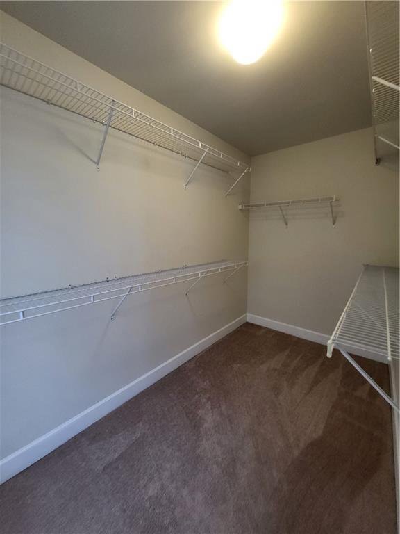 Building Photo - 2428 Hadlow Ln