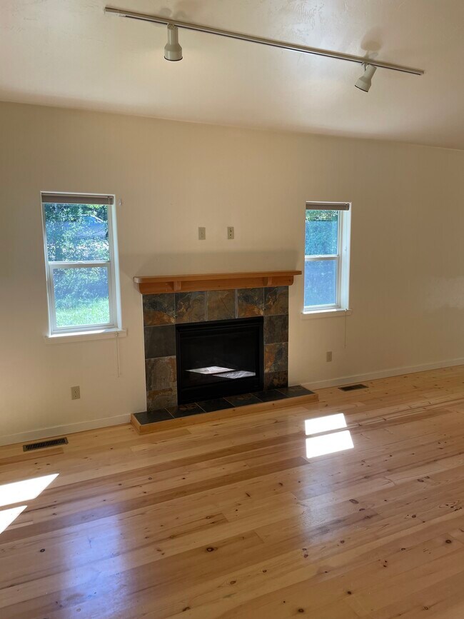 Gas Fireplace - 714 State Park Rd