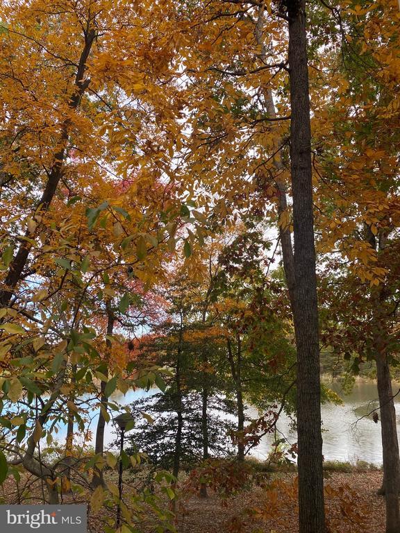 Building Photo - 1720 Lake Shore Crest Dr