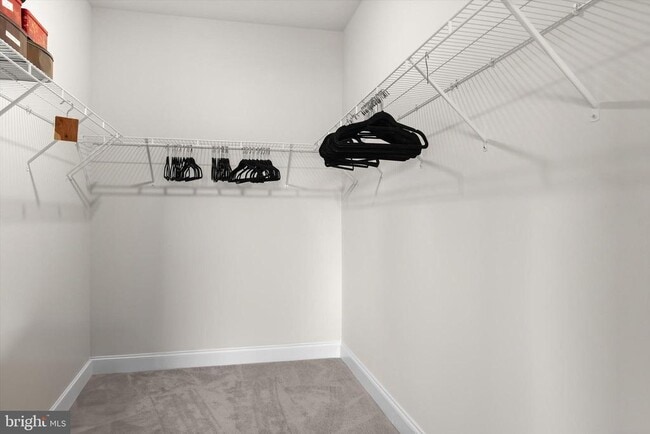 Building Photo - 23630 Havelock Walk Ter