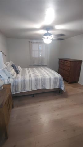 Building Photo - 1742 Palm St