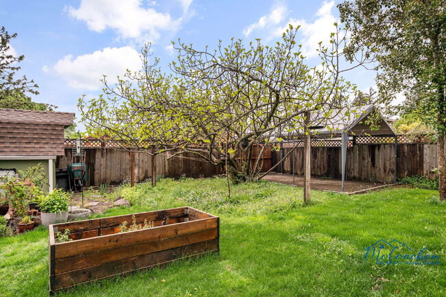 Building Photo - Serene, Artistic Retreat in the Heart of A...
