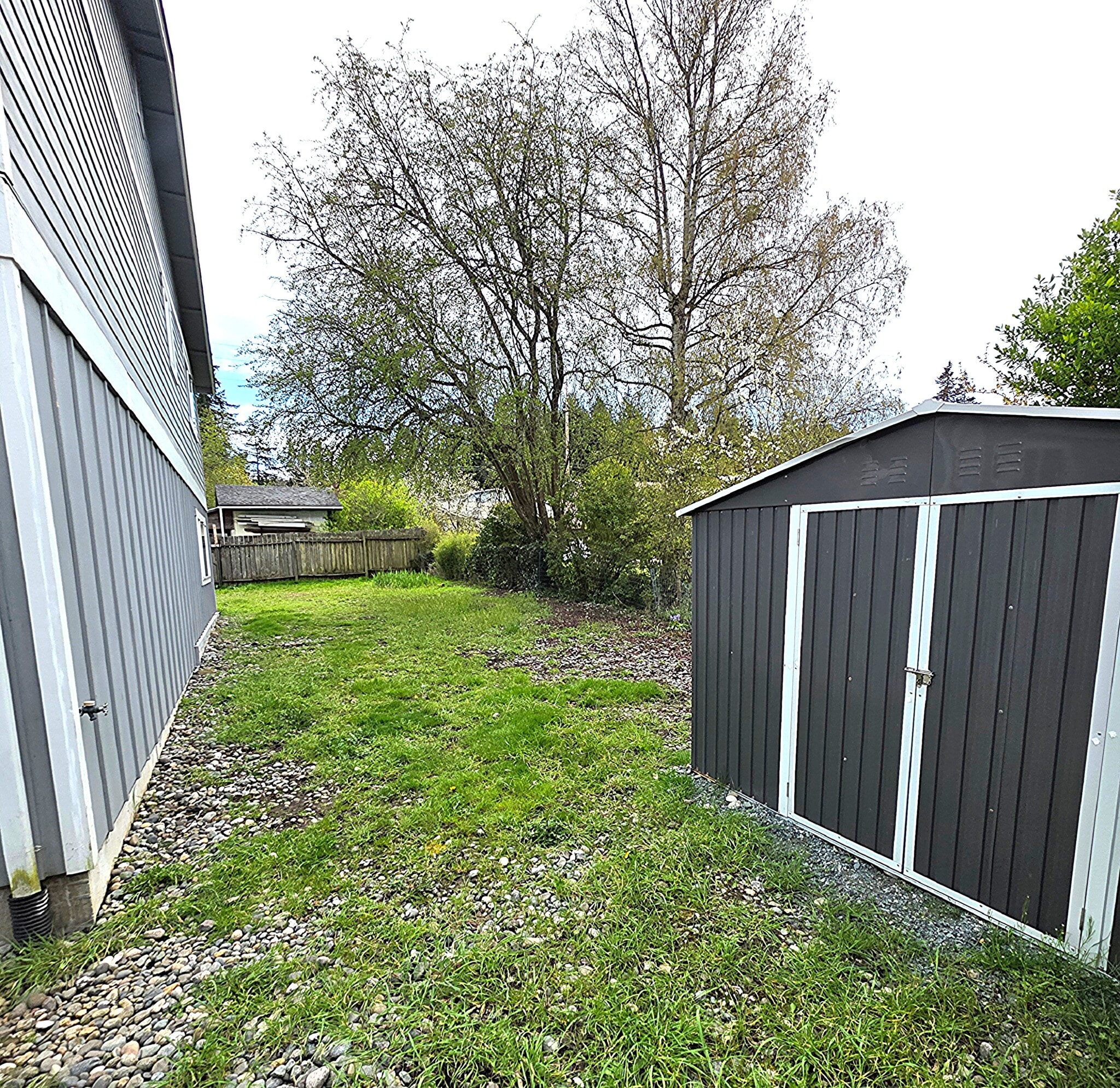 Backyard - 4010 L Ave