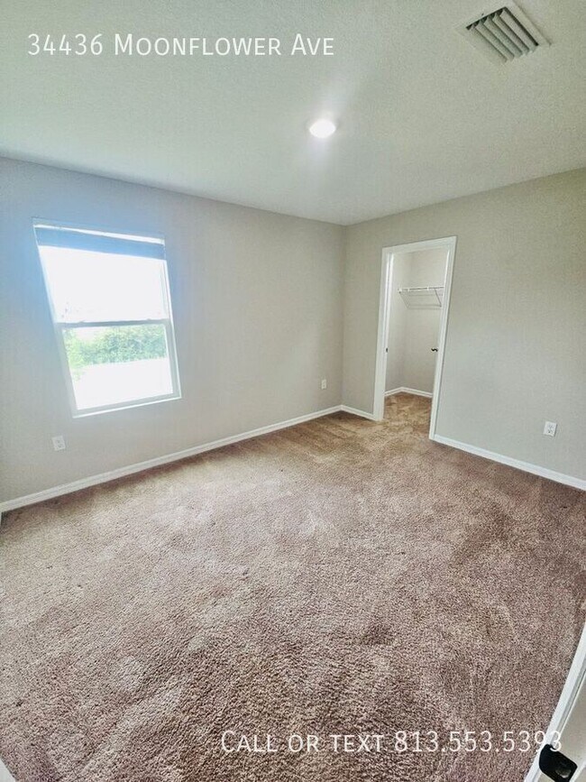 Building Photo - 34436 Moonflower Ave