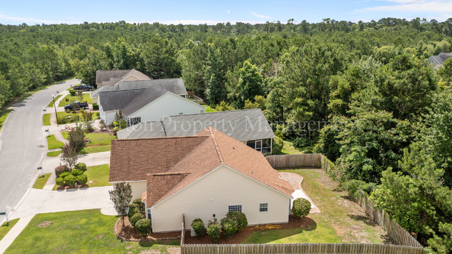 Building Photo - 4BR/2BA home in the Willows, Leland - $2,0...