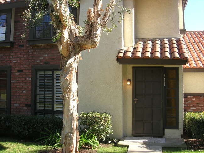 Building Photo - 711 Santa Rosa