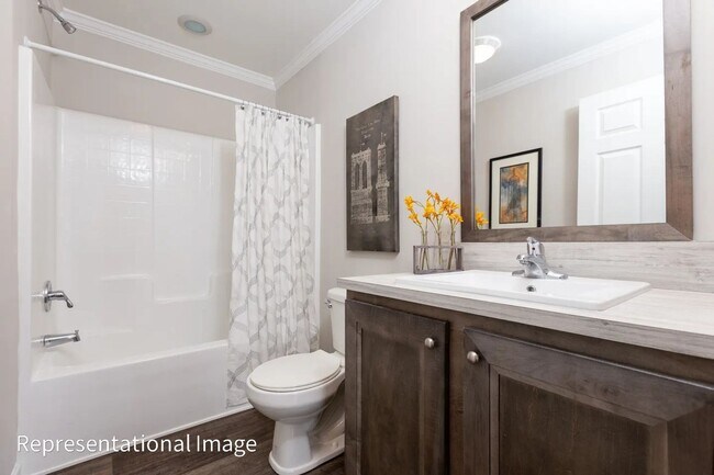 Building Photo - Knoxville 37920 - 3 bedroom 2 bath - call ...