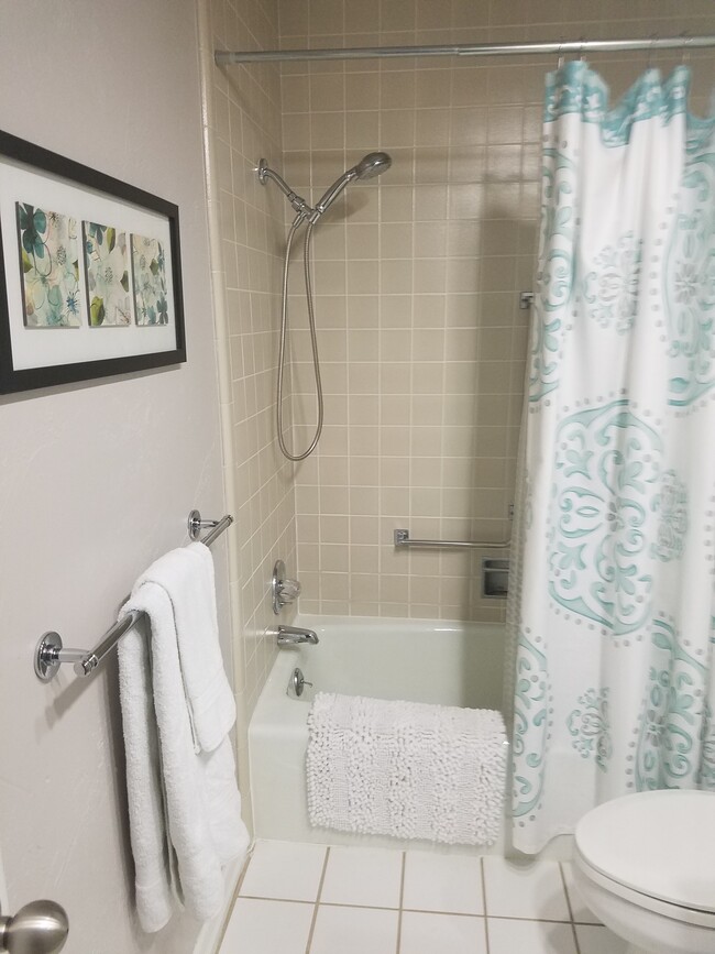 Secondary bath with tub-shower surround - 11717 Heritage Square Rd