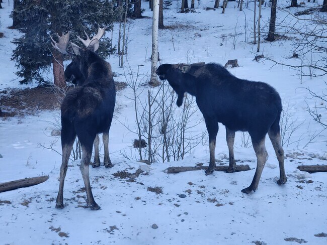 Building Photo - 4603 Co Rd 1