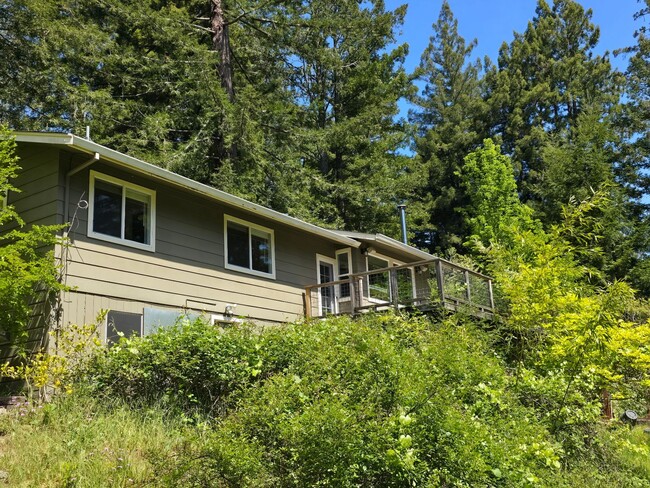 Building Photo - Large and stunning home in rural Sebastopol!