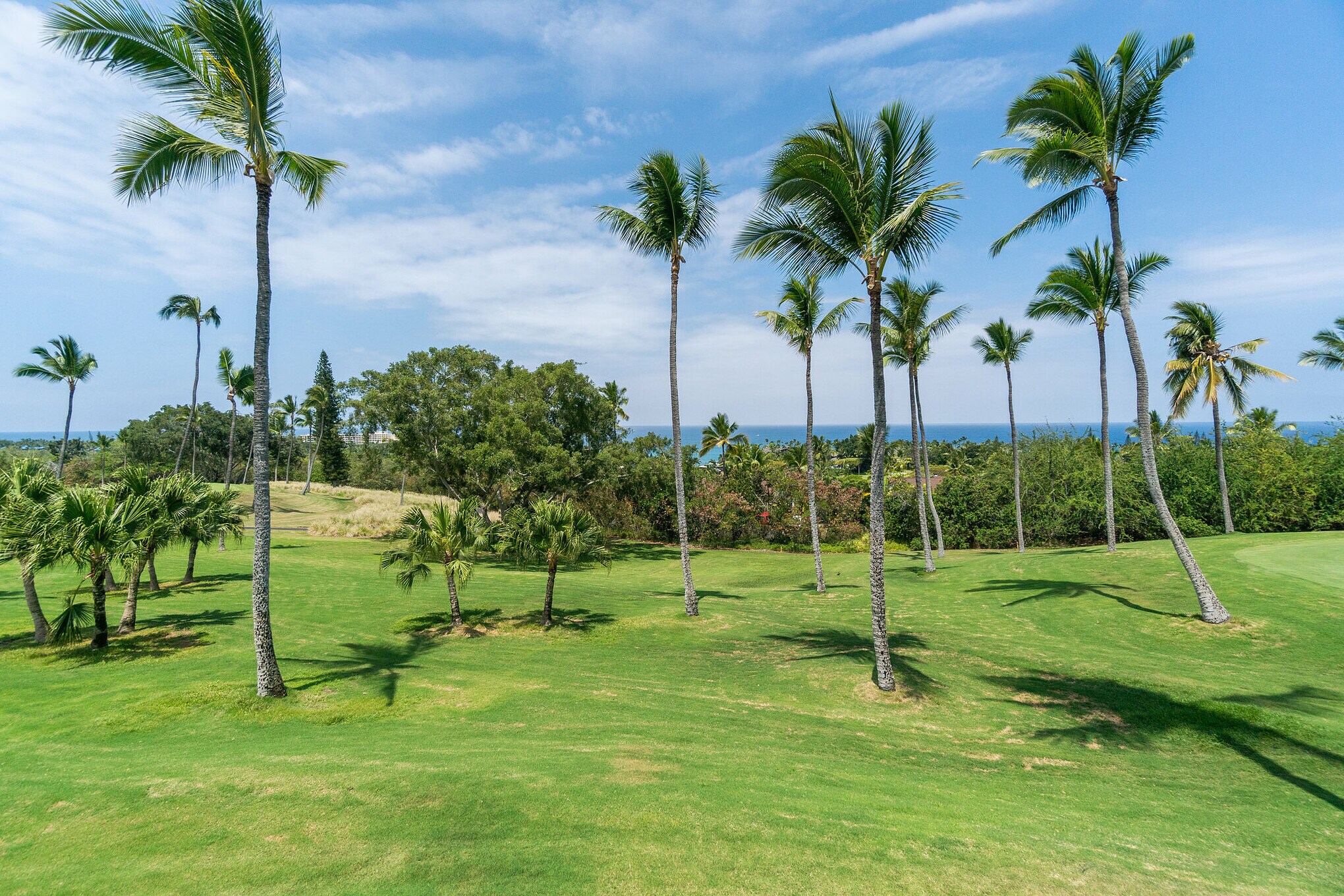 Building Photo - 78-6920 Alii Dr