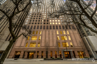 Building Photo - 161 E Chicago-49B