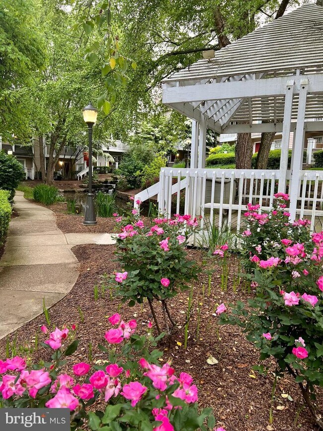 Building Photo - 5705 Chapman Mill Dr