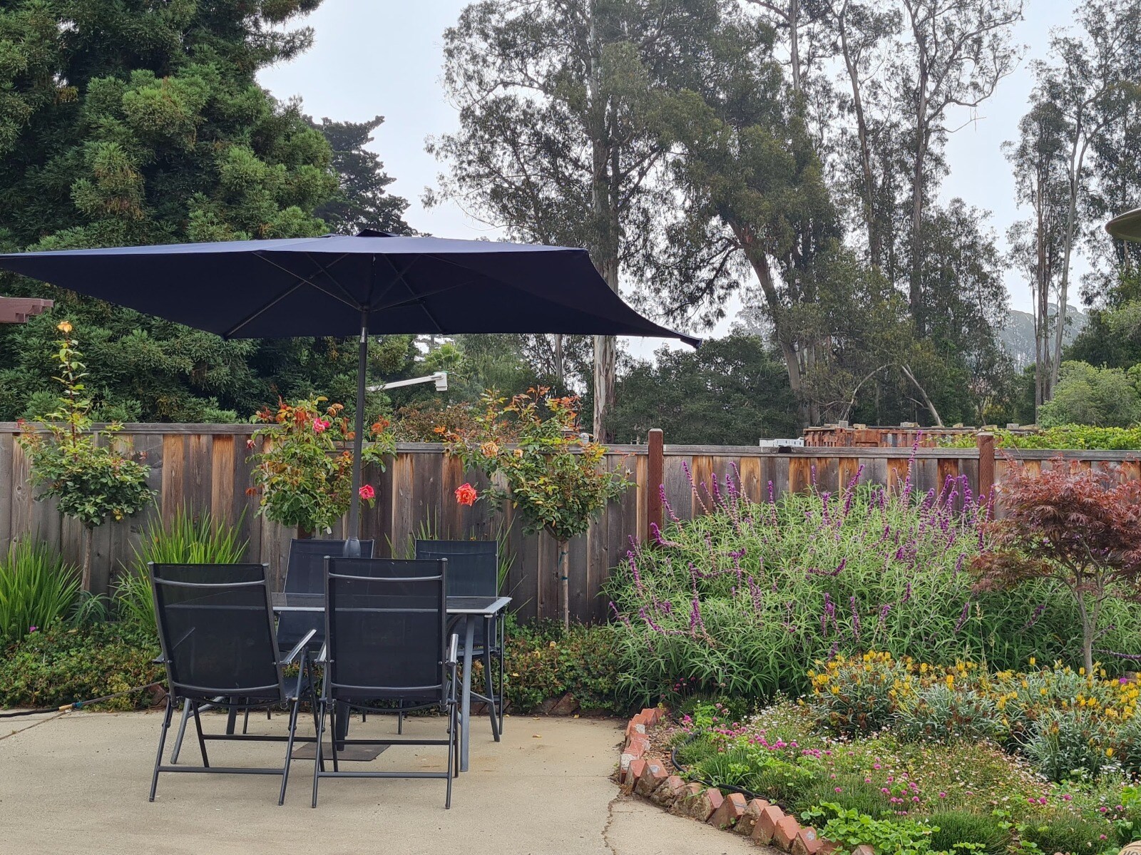 Building Photo - 5720 Soquel Dr
