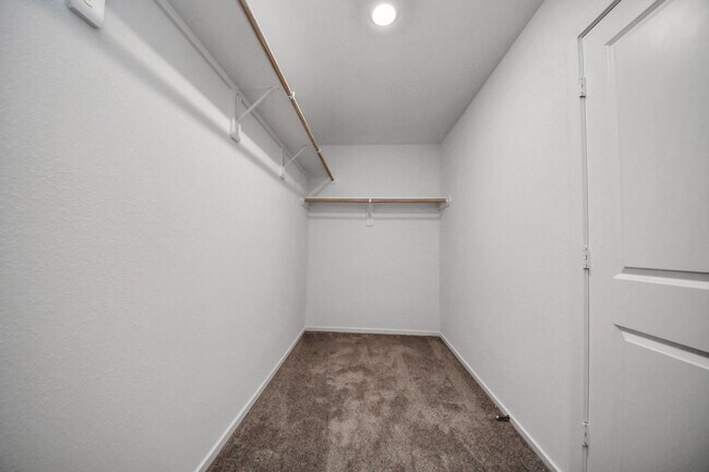 Building Photo - 13507 Sonali Springs Dr