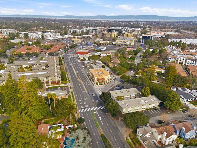 Building Photo - Gorgeous & Modern Los Altos Condo