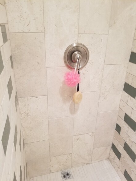 Lower Lever Shower - 2 - 8119 Maple Dr
