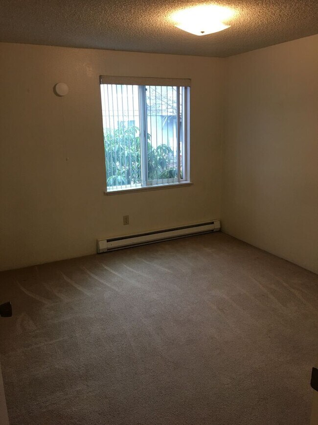 Building Photo - Newly remodeled - 2 Bed, 1 Bath apartment in downtown Port Angeles