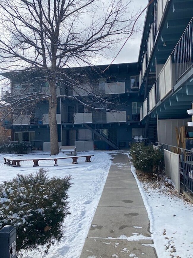 Building Photo - Newly remodeled 1-bedroom apartment near DU