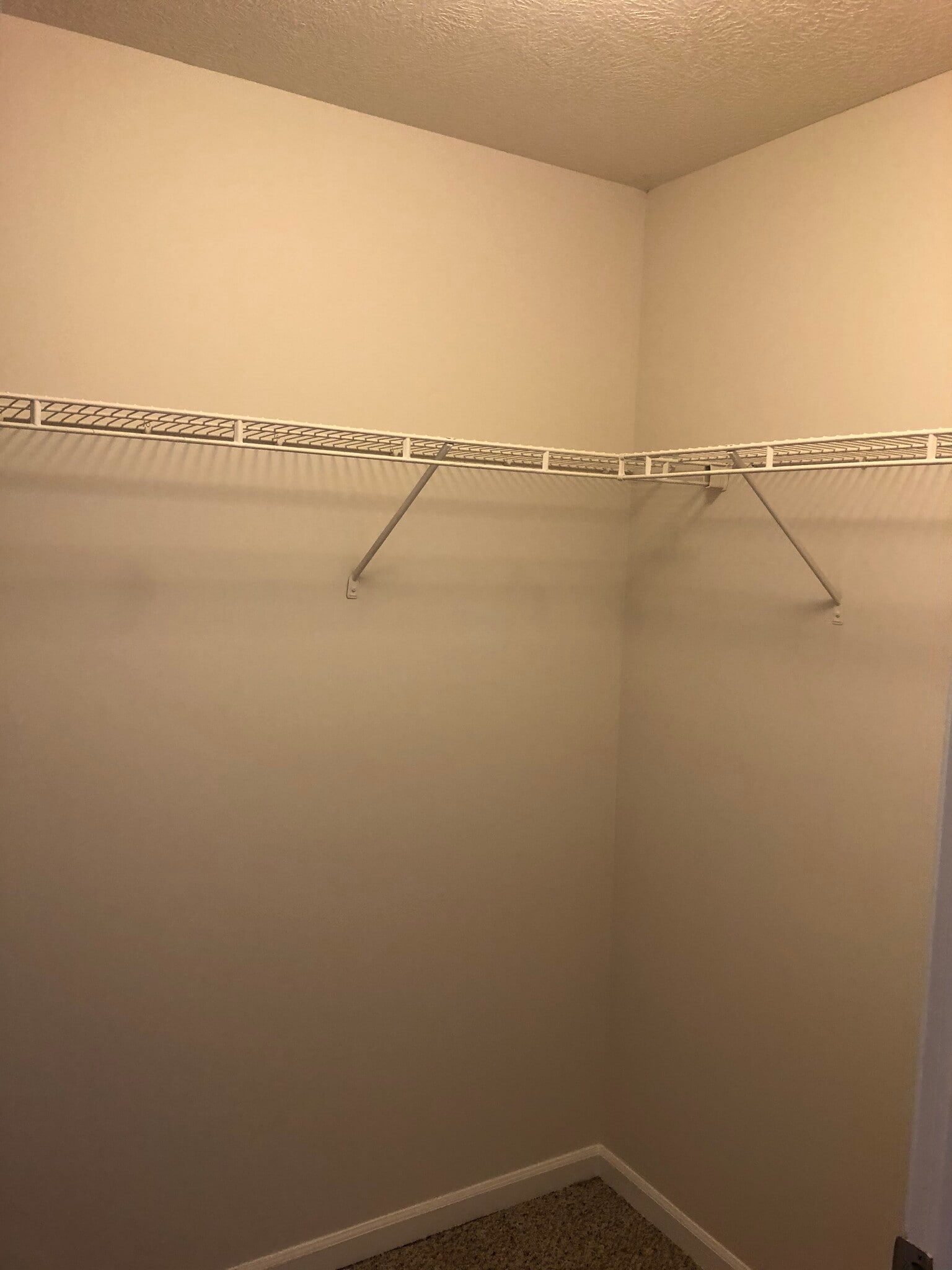 Large Closets - 806 Carom Cir