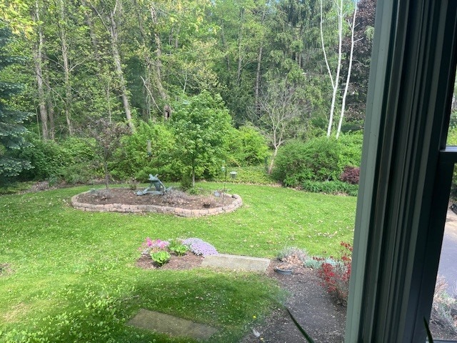 Backyard - 200 Blackstone Ave