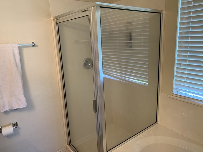 Master Shower - 8451 Blackstone Cove