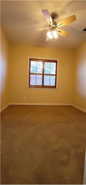 Building Photo - 2321 Star Lilly St