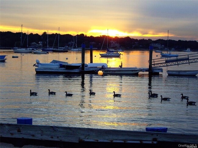 Building Photo - 5 Carlton Ave