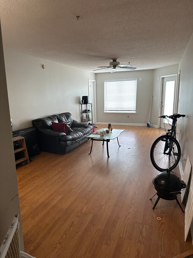Unit 203: Living Room - 1221 University Ct