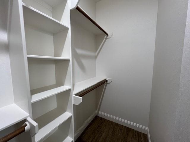 Building Photo - 142 Pedernales