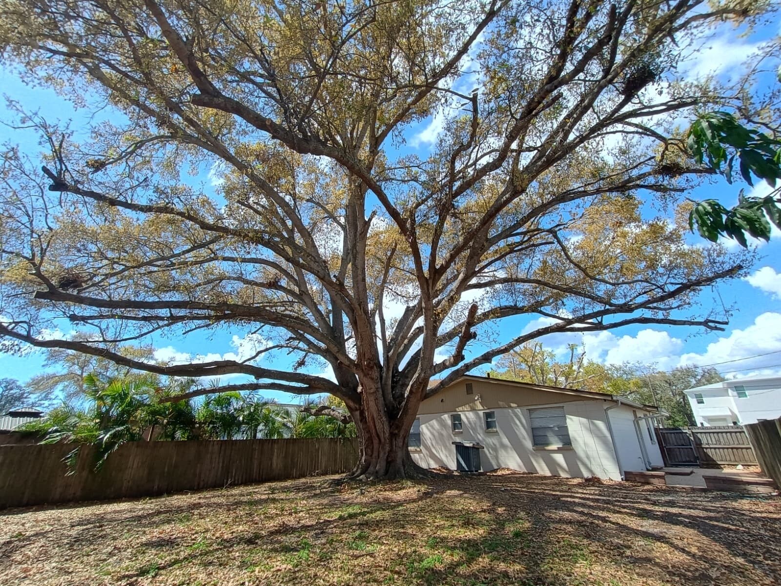 Building Photo - 3624 W Anderson Ave