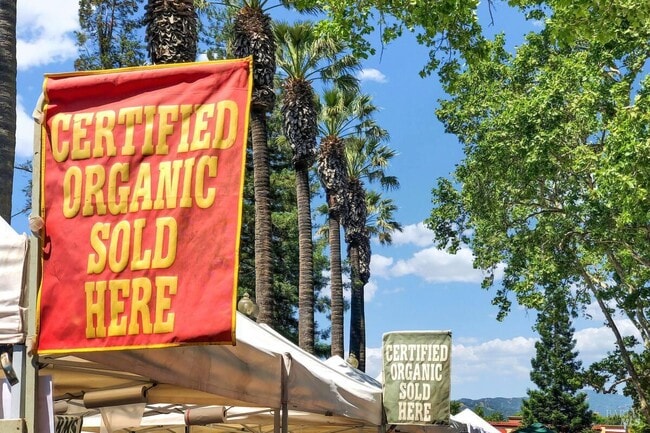 Building Photo - 528 Main St