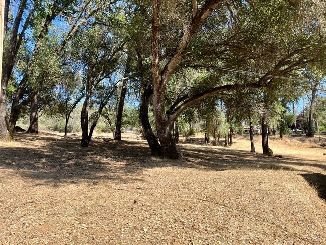 Building Photo - FREE DECEMBER RENT! 2.5 bedroom 1 bath home on 2 Acres with SOLAR in Shingle Springs !!!