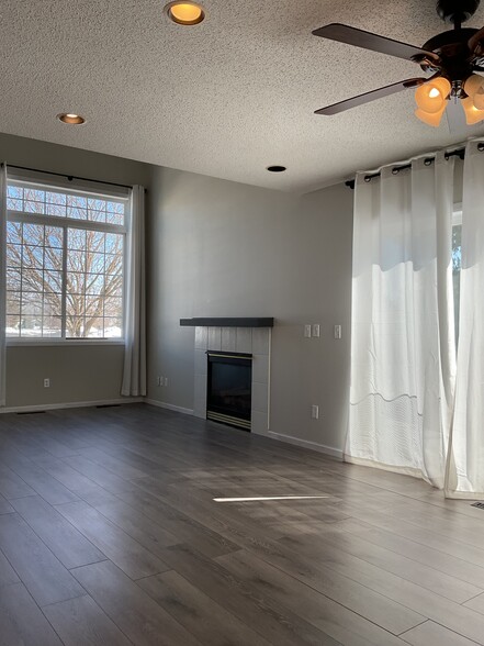 Gas Fireplace - 17366 River Birch Pl