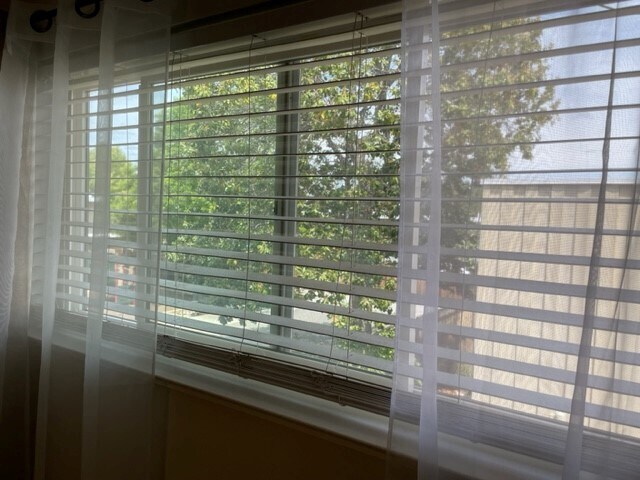 View from Master Bedroom - 3320 Lochinvar Ave