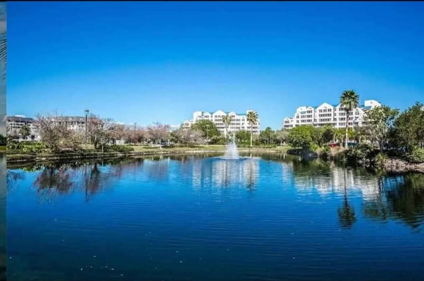 Building Photo - 2333 Feather Sound Dr