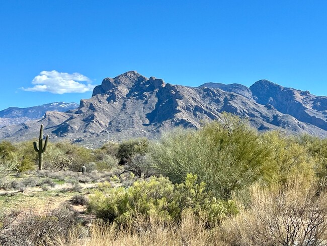 Building Photo - Beautiful Southwest Home with Mountain Vie...