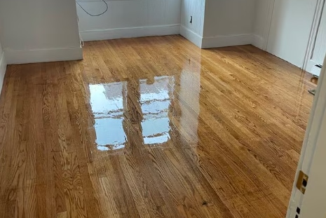 Building Photo - 295 Jackson St