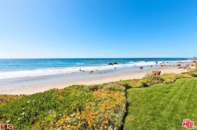 Building Photo - 31709 Sea Level Dr