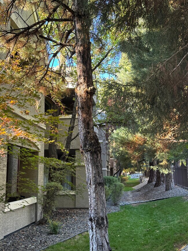 Building Photo - 900 S Meadows Pky