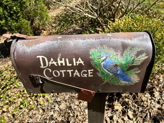 Building Photo - North AVL -  Renovated Arts & Crafts Cottage