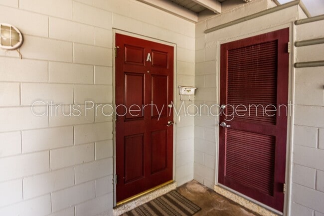 Building Photo - Charming Apartment in Thornton Park