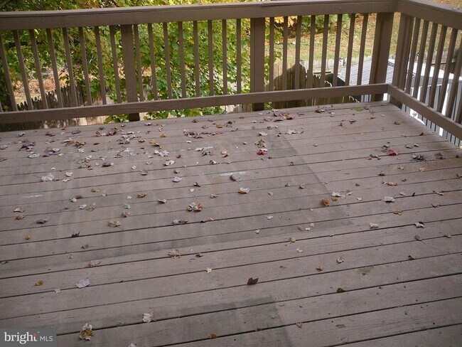 Building Photo - 302 Harrogate Rd