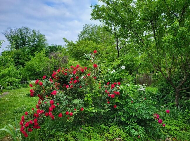 Building Photo - 68 Durrett Dr