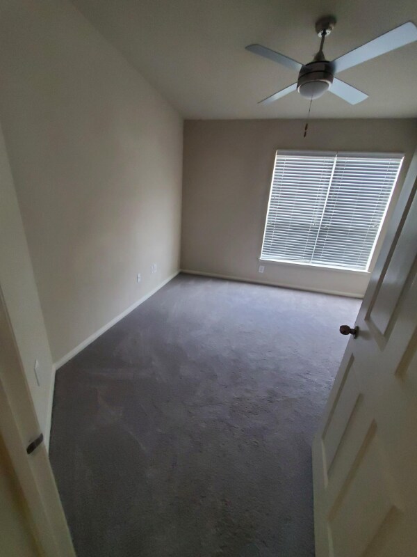 Building Photo - 906 Allen St