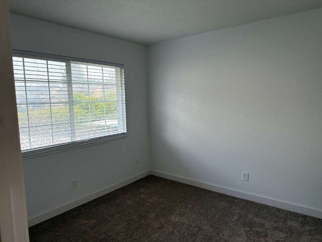 Building Photo - Remodeled Santa Cruz Apartment